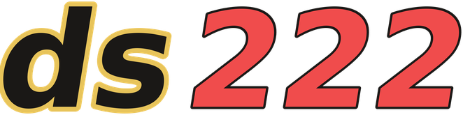 ds222 logo